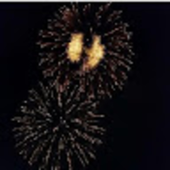 Meet your Posher, Audrey - Picture 1 of 1